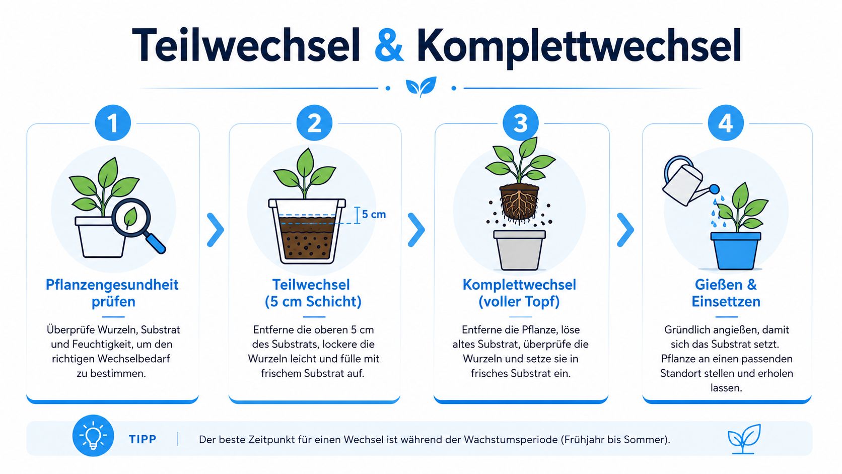 Wie oft Blumenerde wechseln Balkon: einfache Anleitung 2026 7 Infografik zur Anleitung für Teil- und Komplettwechsel der Blumenerde bei Pflanzen in vier einfachen Schritten.