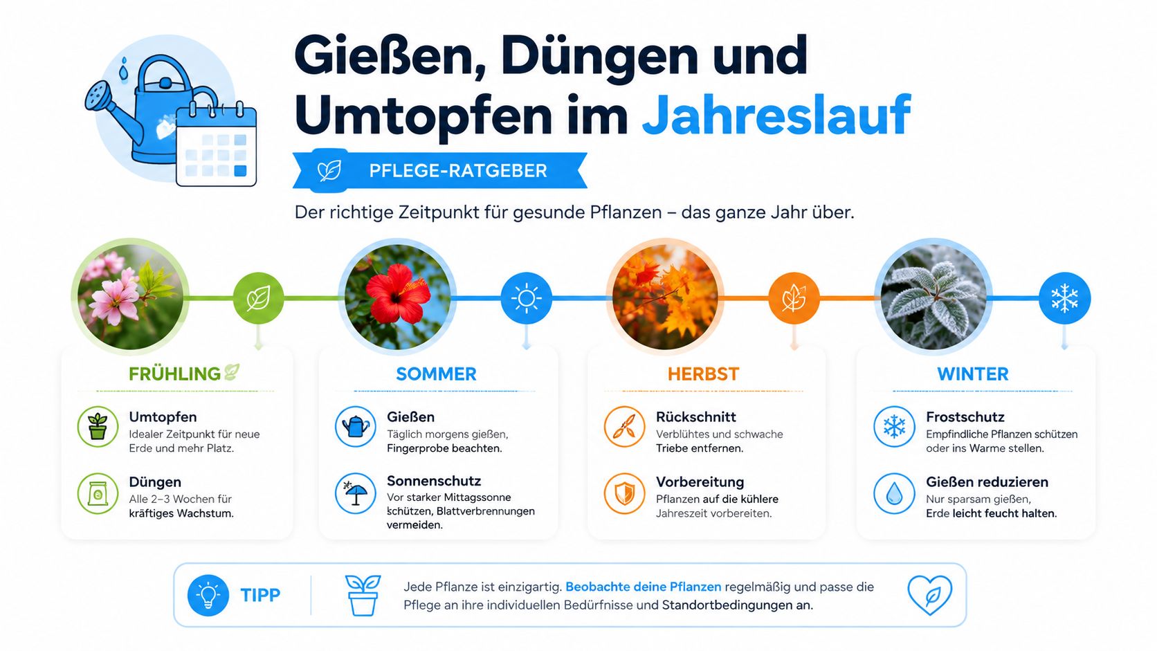 Blumenerde Balkon: Der Praxisguide 2026 8 Eine Infografik, die die saisonale Pflege von Pflanzen wie Gießen, Düngen und Umtopfen durch das ganze Jahr erläutert.