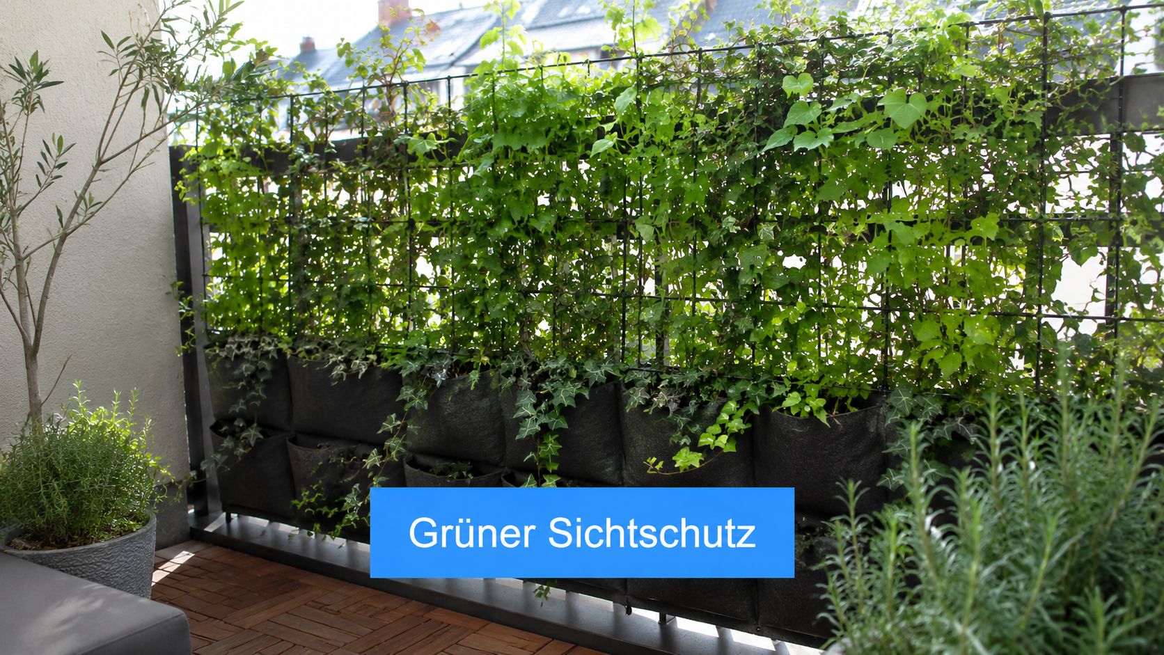 8 kleiner Balkon Deko Ideen für mehr Raum 4 Ein moderner kleiner Balkon mit einem grünen Sichtschutz aus Kletterpflanzen in schwarzen Pflanztaschen an einem Metallgitter.